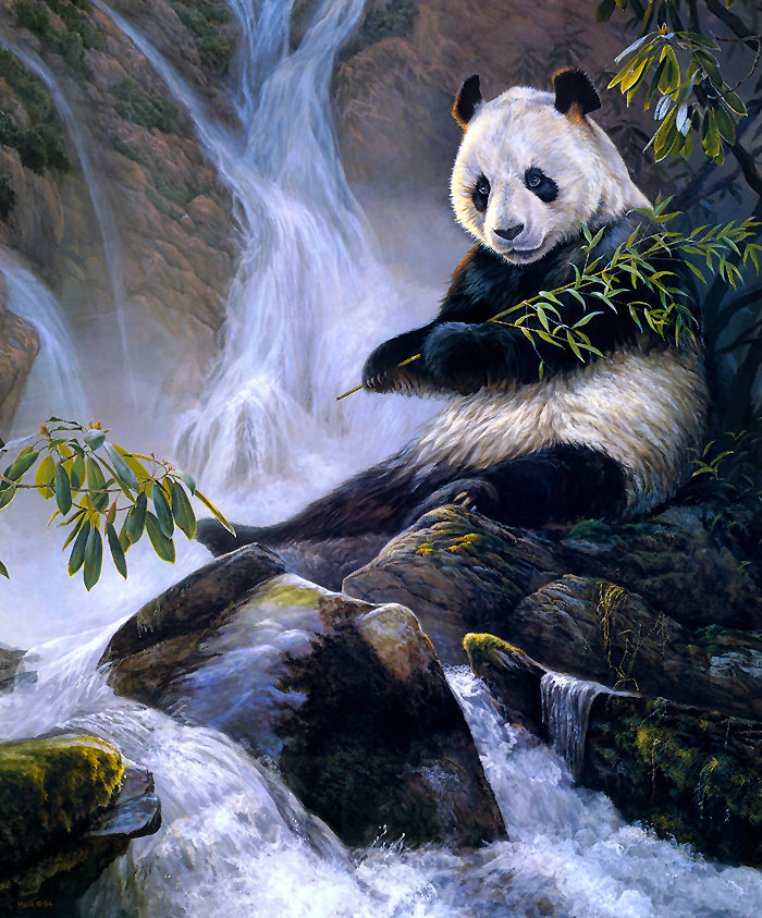 Панда - животные, природа - оригинал