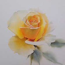 Оригинал схемы вышивки «Желтая роза» (№1346785)