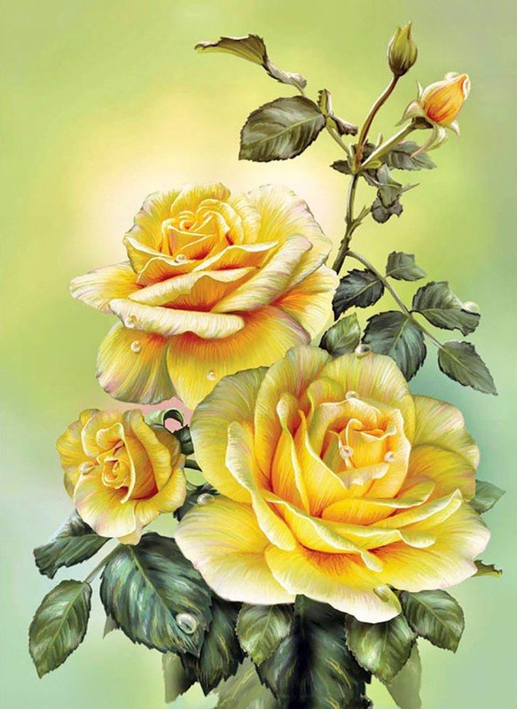 krásne žlté ruže - оригинал
