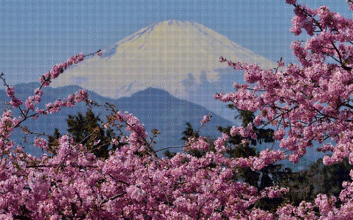 Гора Фудзи - гора фудзи, сакура, япония - предпросмотр