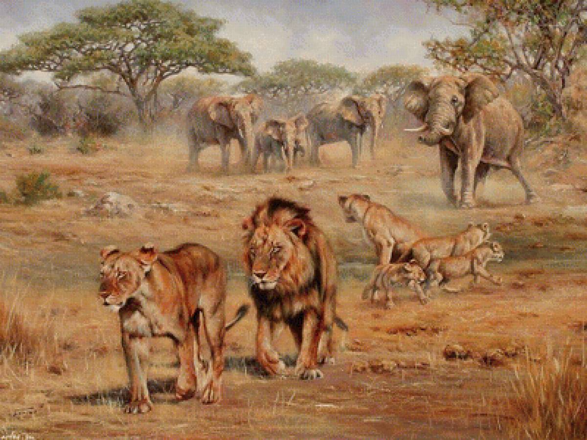 НЕУДАЧНАЯ ОХОТА - львы, слоны, саванна, дикие животные - предпросмотр