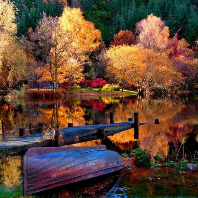 Золотая осень - осень, лес, река - оригинал