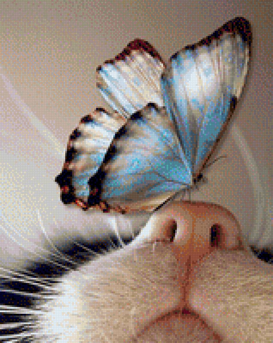 Бабочка и кот - бабочка, кот - предпросмотр