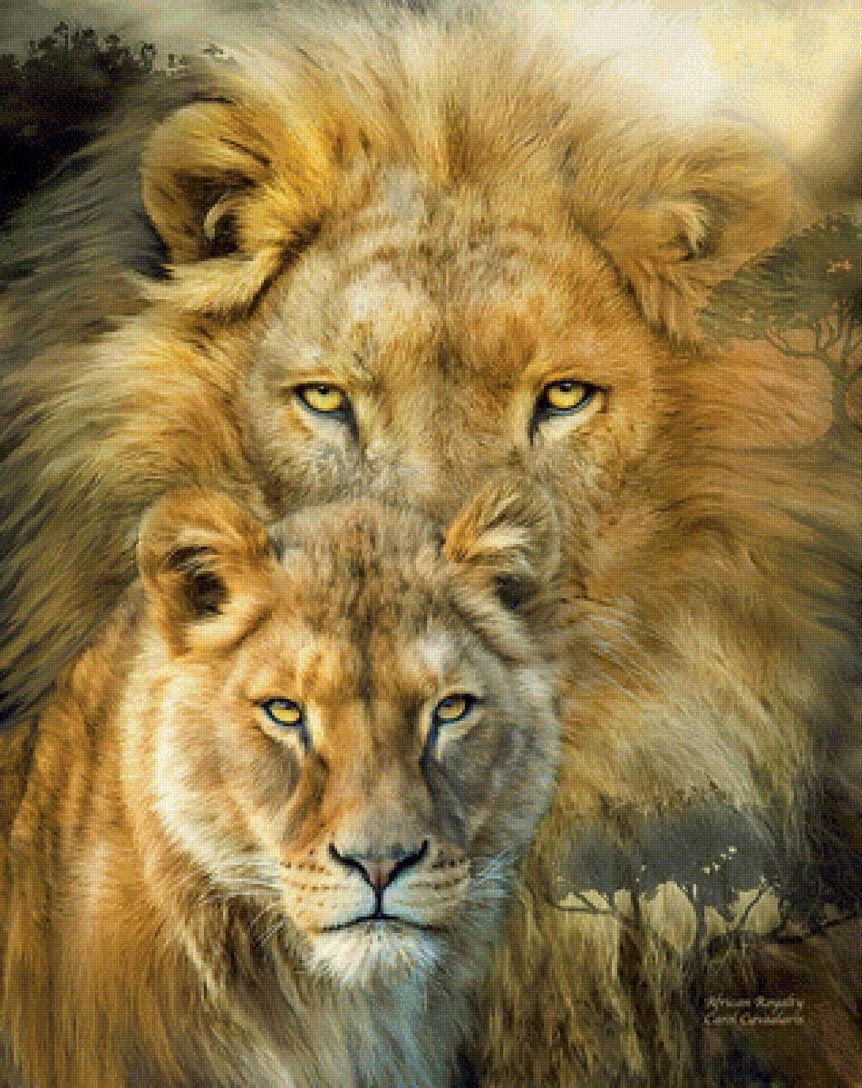 львиная пара - львы, пара, дикие животные - предпросмотр