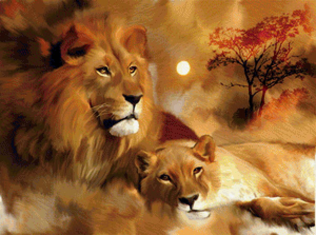 львиная пара 2 - львы, пара, дикие животные - предпросмотр