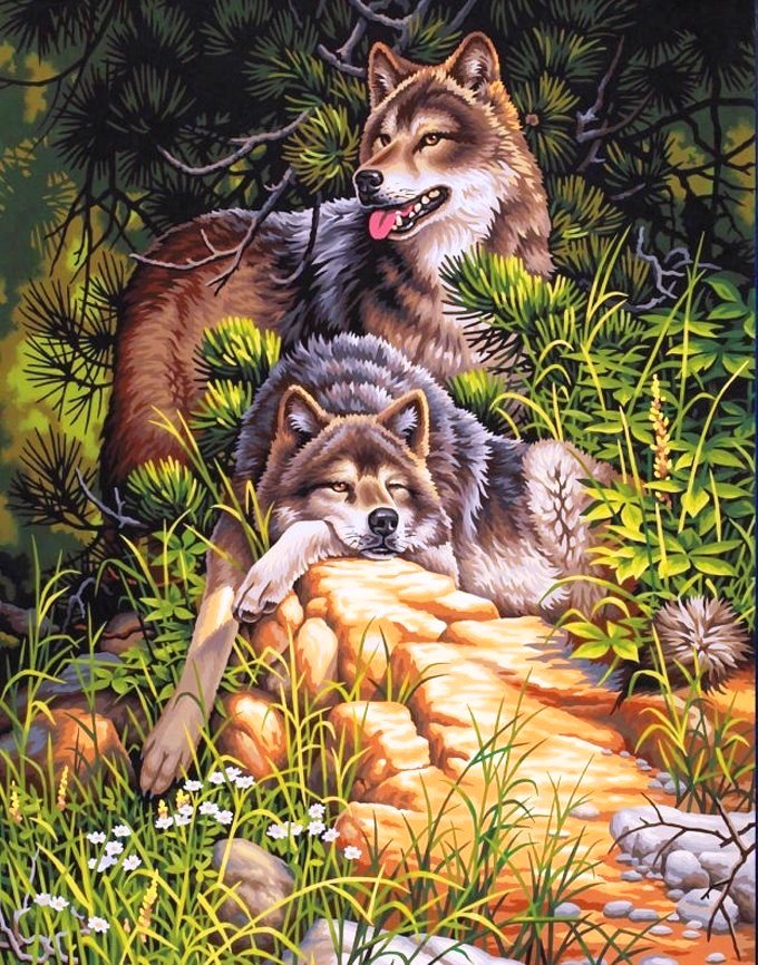 отдыхающие волки - животные, картина, пейзаж, природа, лето - оригинал