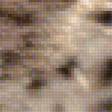 Предпросмотр схемы вышивки «гепард» (№1353973)