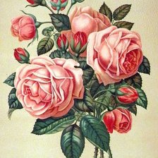 Схема вышивки «букет роз»