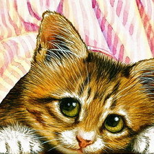 Оригинал схемы вышивки «котенок» (№1355986)