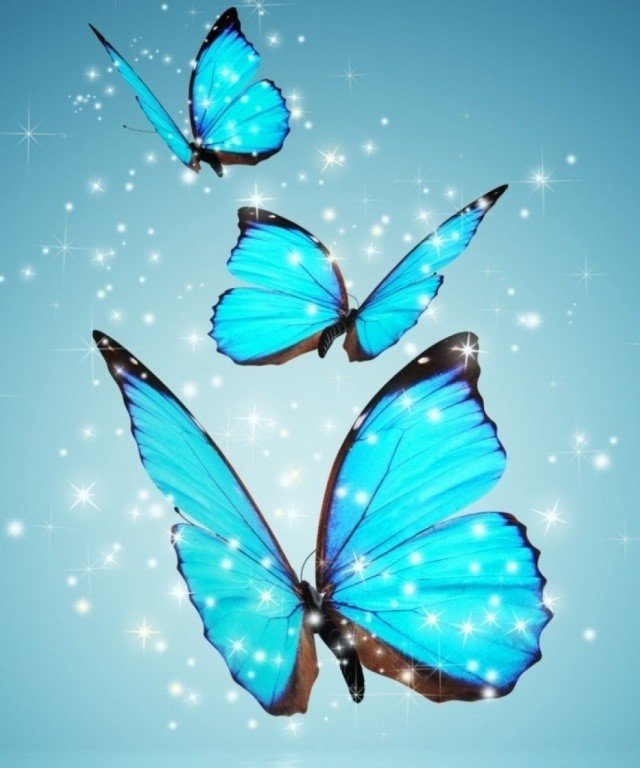 Бабочки - бабочки, красиво, лето - оригинал