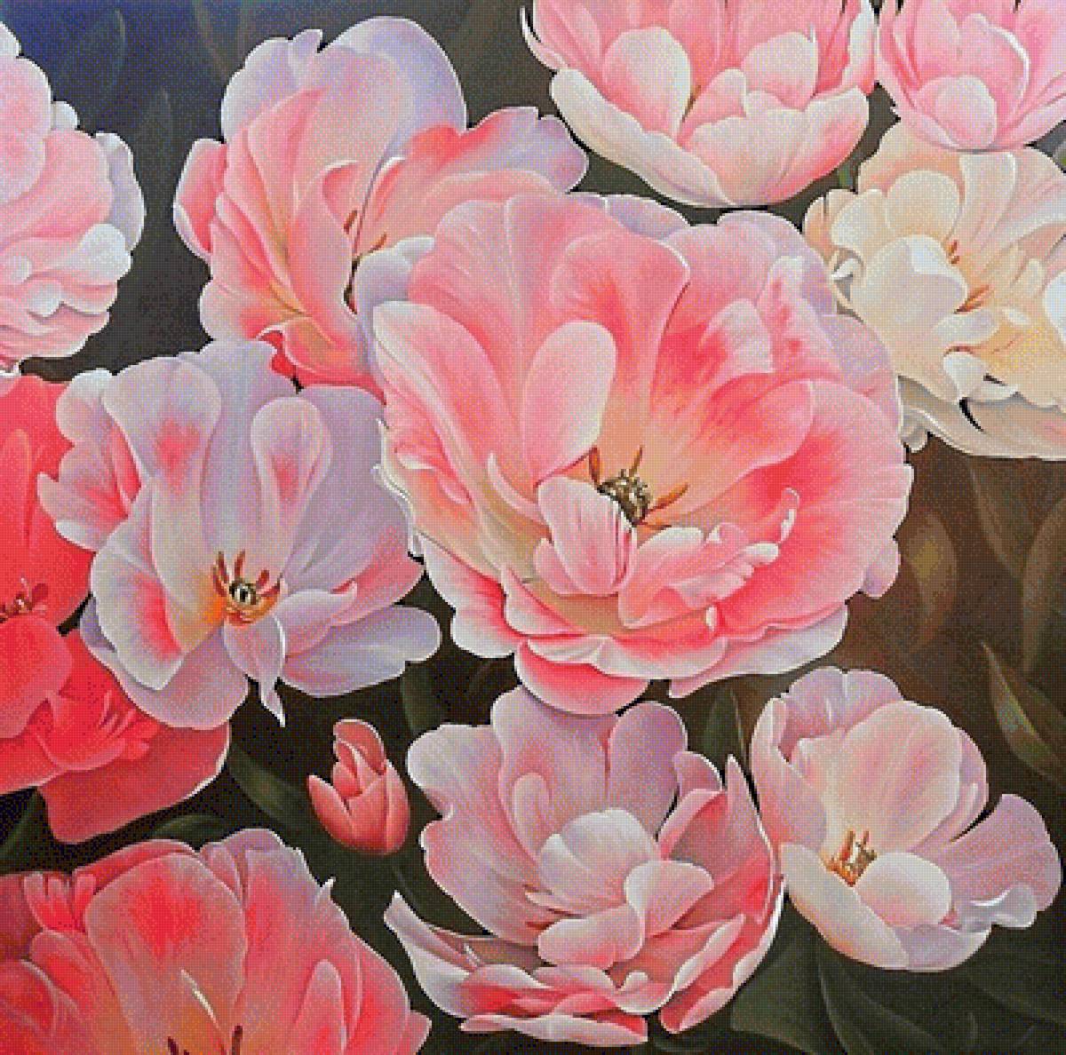 розовое чудо - тюльпаны, тюльпан, розовые цветы, весенние цветы - предпросмотр