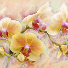 Оригинал схемы вышивки «Орхидеи» (№1358959)