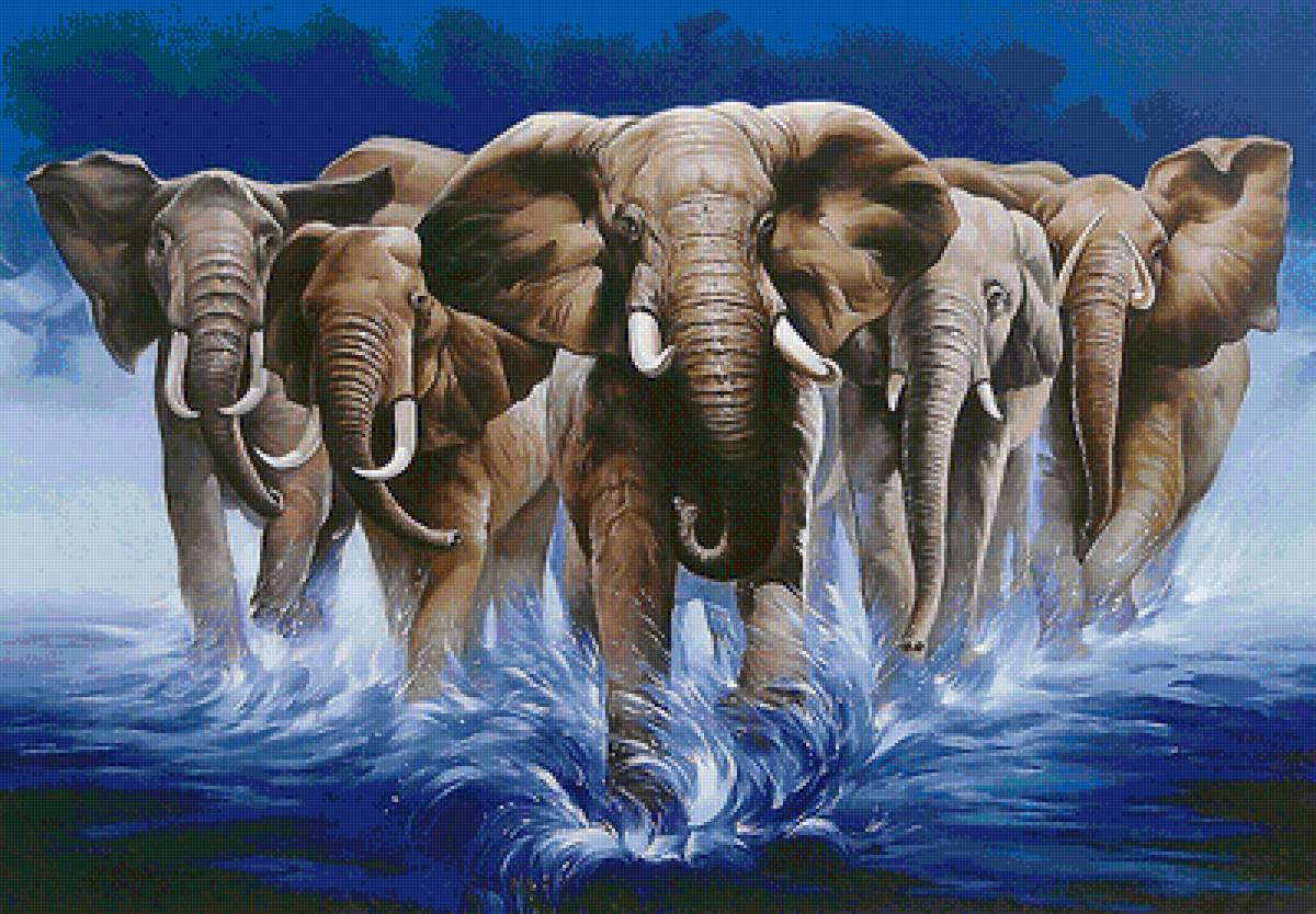 Семья слонов - семья, слоны - предпросмотр