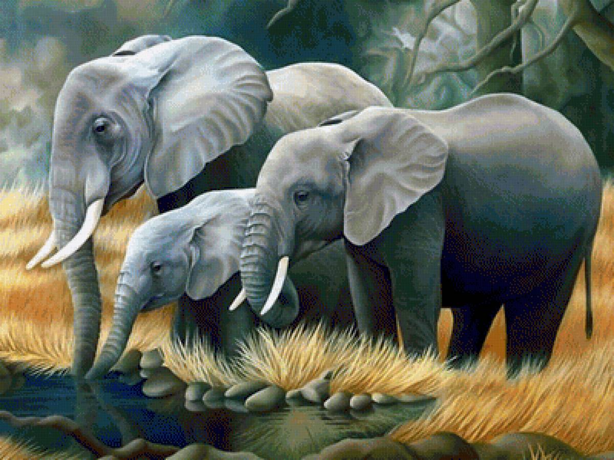 Семья слонов 2 - семья, слоны - предпросмотр