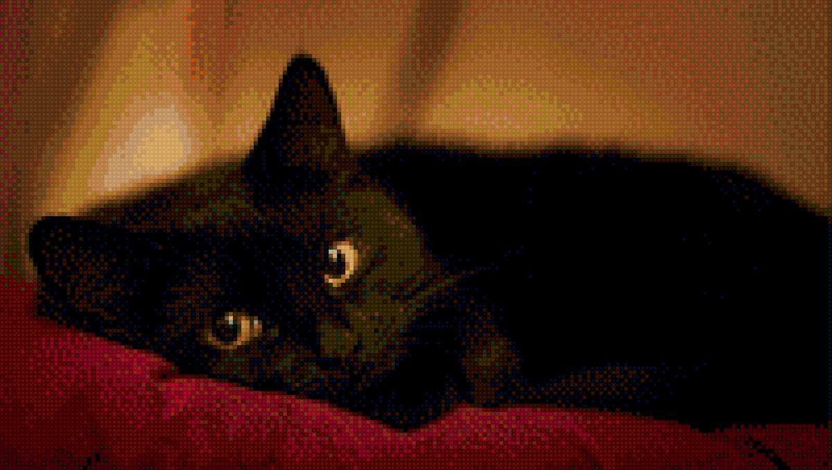 ченый кот - черный кот подушка - предпросмотр