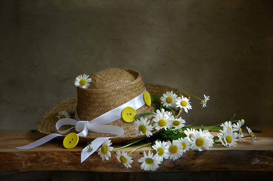 Шляпка и ромашки - цветы, лето, шляпка, ромашки, полевые цветы - оригинал