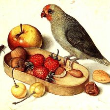 Схема вышивки «Птица и фрукты»
