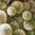 Предпросмотр схемы вышивки «натюрморт с виноградом» (№1361725)