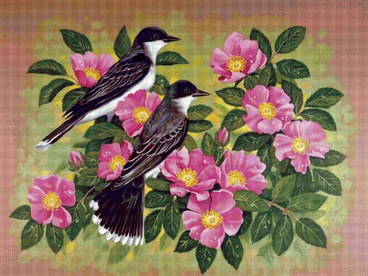 птички-невелички - птицы, пейзаж, цветы, природа - предпросмотр