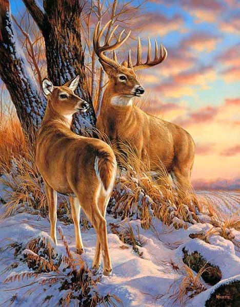 олени - природа, зима, животные, картина - оригинал