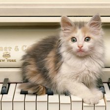 Схема вышивки «Котенок на пианино»
