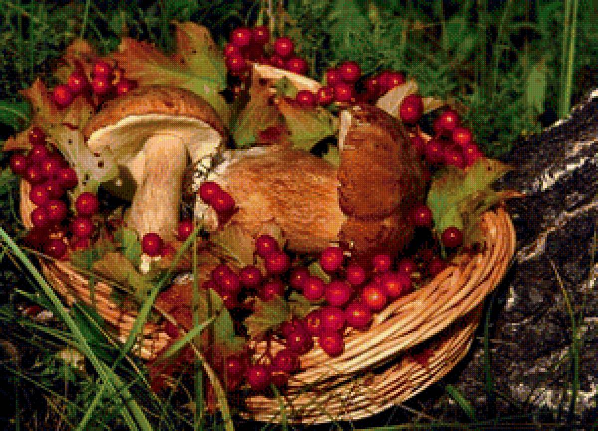 Корзина грибов - осень, лес, ягоды, грибы, корзина - предпросмотр