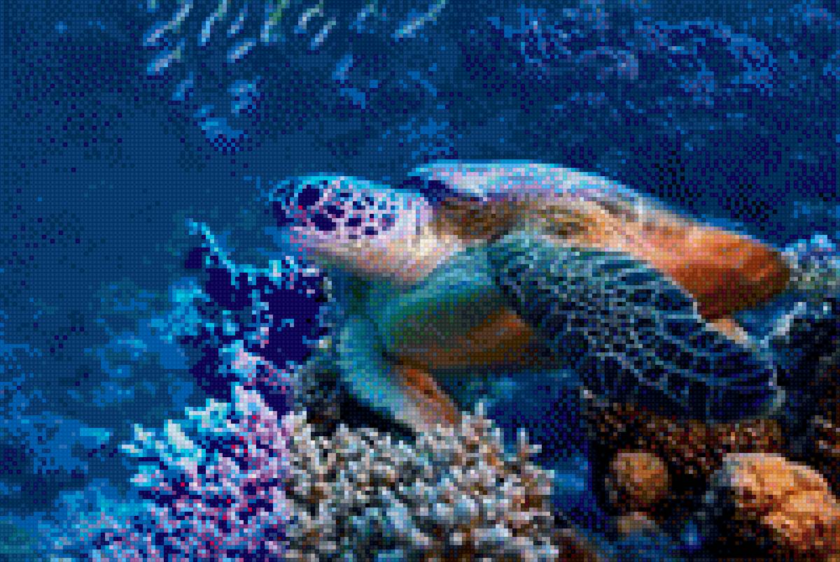 Под водой - черепаха, подводный мир - предпросмотр