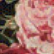 Предпросмотр схемы вышивки «Розы» (№1365924)