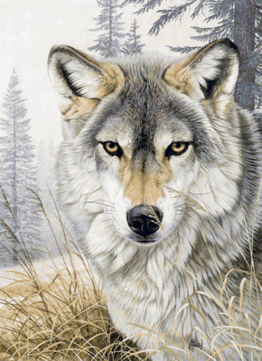 волчица - волк, волчица - предпросмотр
