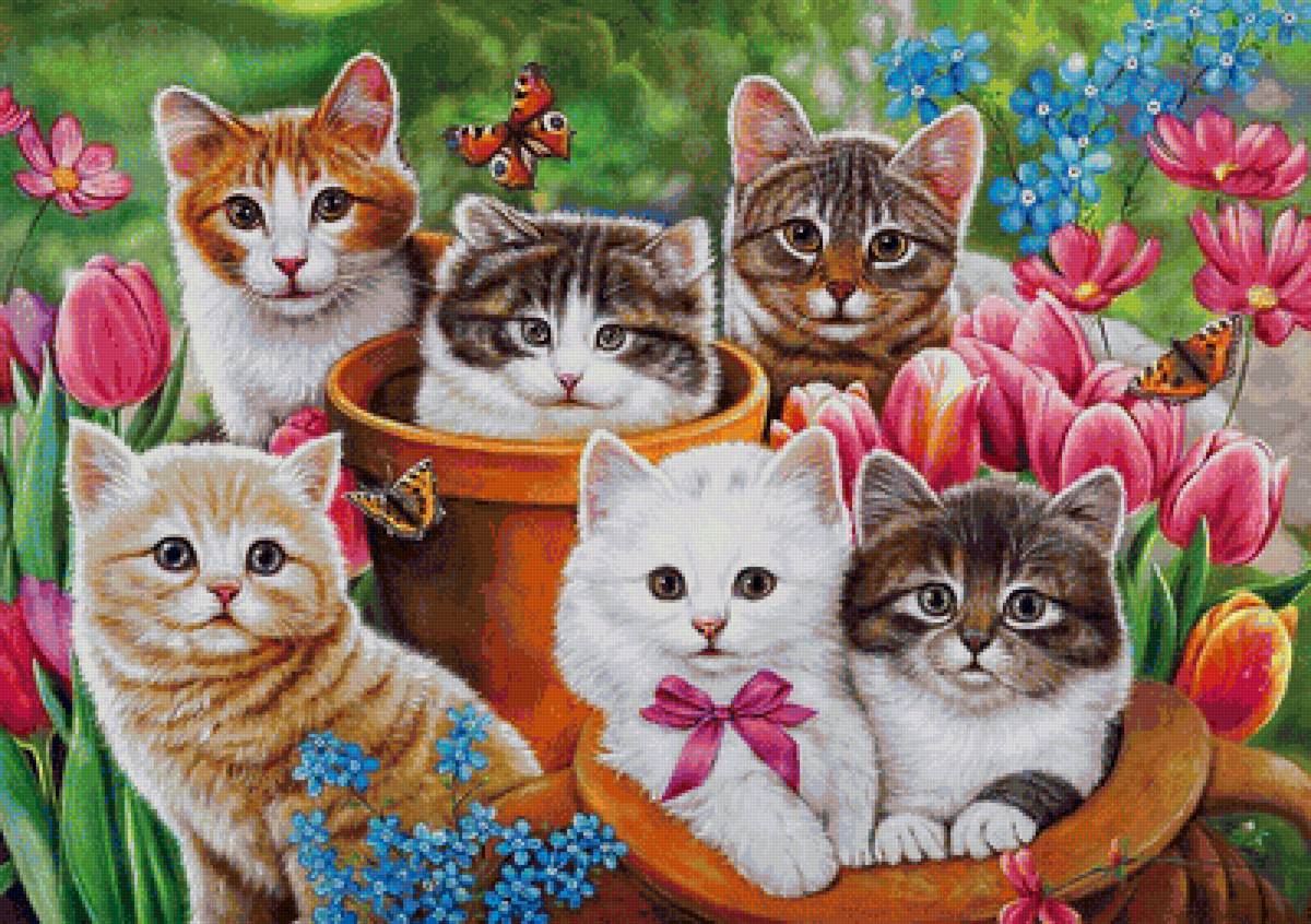 милее кошки - зверя нет - котята, кошки, котенок, кот, домашние животные, кошка - предпросмотр