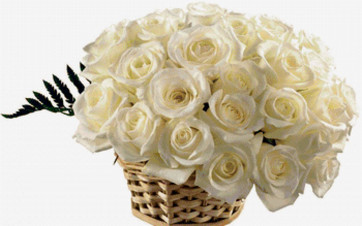 Белые розы - букет, цветы, розы - предпросмотр