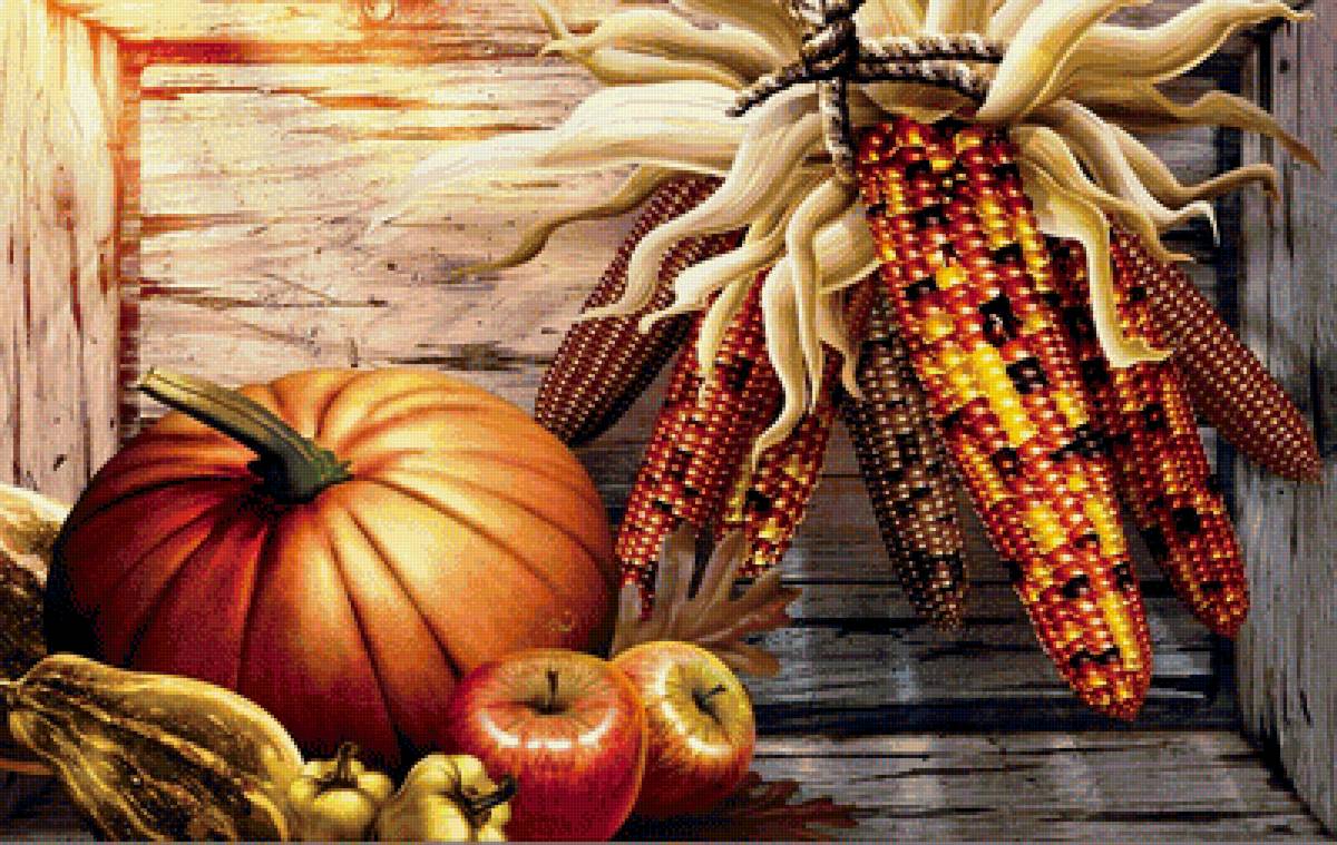Осенный урожай - урожай, осень, тыква, кукуруза, натюрморт - предпросмотр