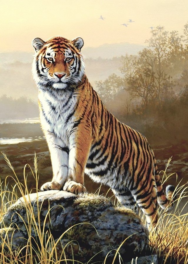 тигр - оригинал