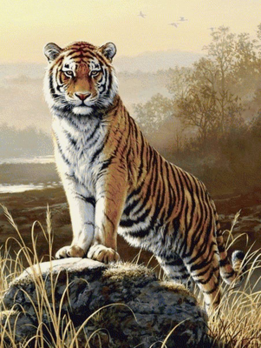Тигр - тигр, природа, звери - предпросмотр