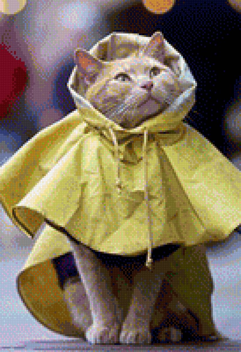 Кошка в дождевике - дождь, коты, кошка - предпросмотр