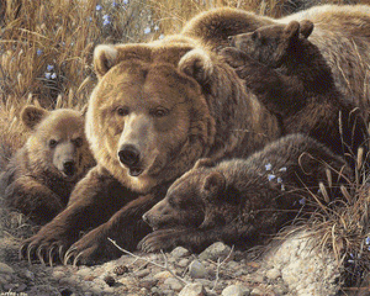 медведица с мдвежатами - животные, медвежата, медведи - предпросмотр