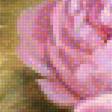 Предпросмотр схемы вышивки «Нежные розы» (№1372214)