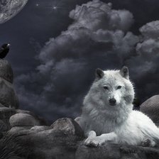 Ворон и волчица