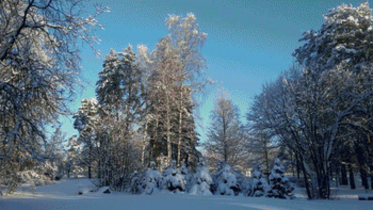 Зима. Комарово 2016 - зима, снег, природа - предпросмотр