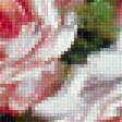Предпросмотр схемы вышивки «Розы» (№1375124)