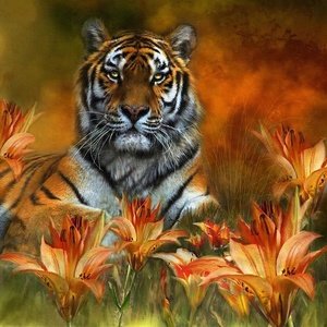 Тигр - тигр, осень, большая кошка - оригинал