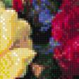 Предпросмотр схемы вышивки «Цветы 07» (№1376967)