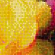 Предпросмотр схемы вышивки «Цветы 10» (№1377250)