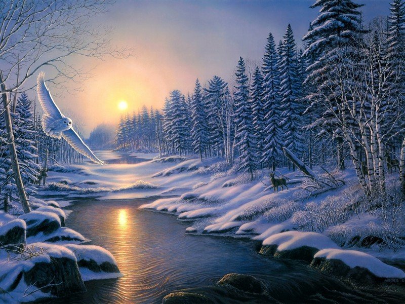 зимний пейзаж - природа, зима, река, сова, пейзаж - оригинал
