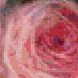 Предпросмотр схемы вышивки «розы» (№1379813)