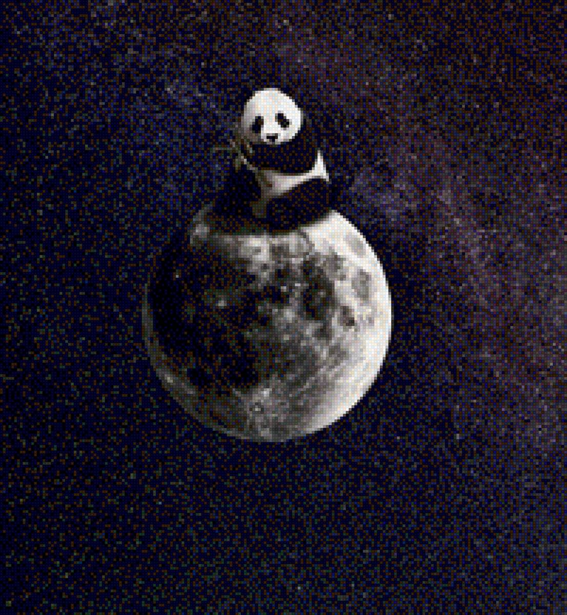 Панда в космосе 2 - животные, панда - предпросмотр