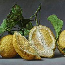 Оригинал схемы вышивки «лимоны» (№1381083)