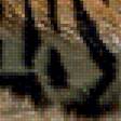 Предпросмотр схемы вышивки «Тигр» (№1385969)