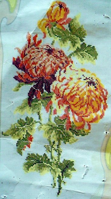 хризантемы - цветы - оригинал