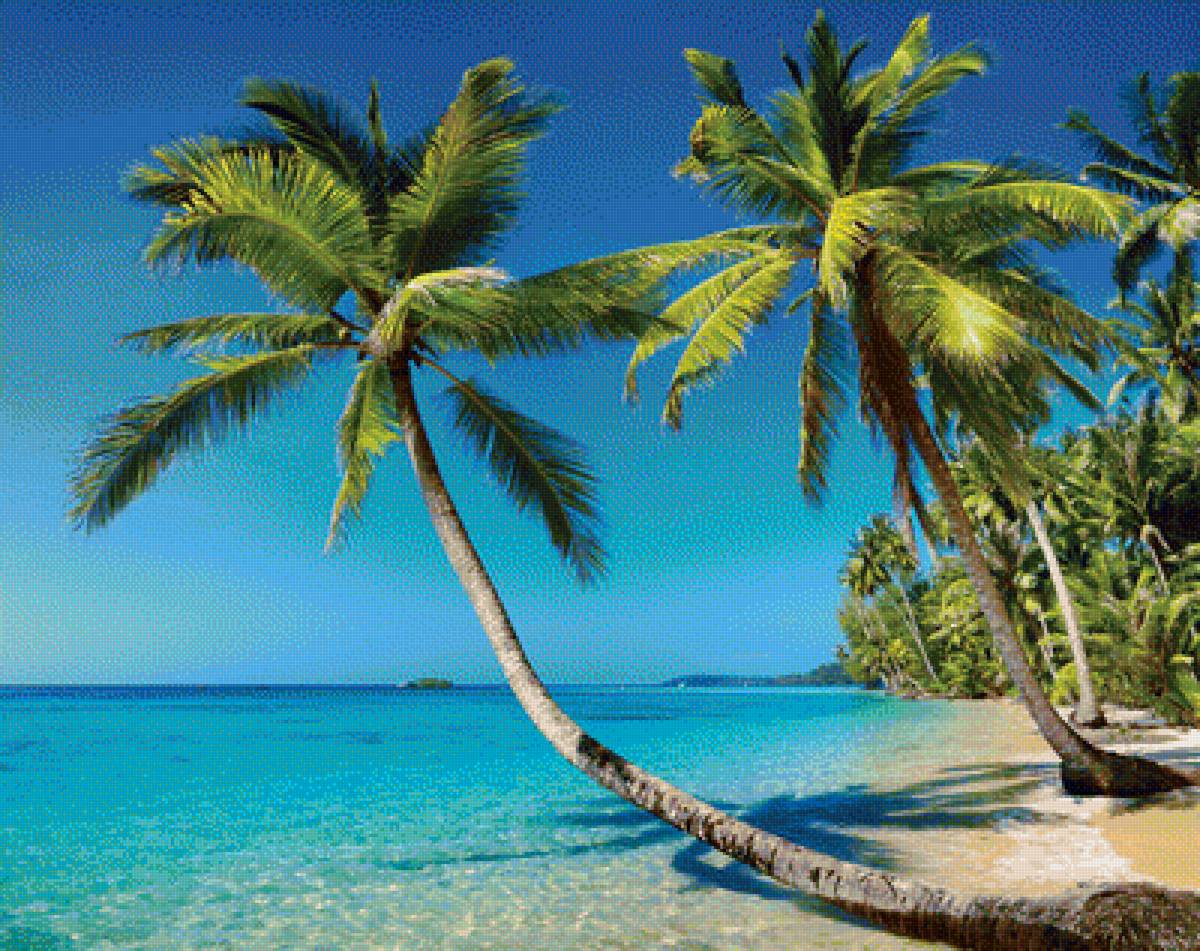 тропический остров - природа, остров. пляж, море - предпросмотр